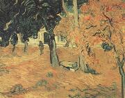 The Garden of Saint-Paul Hospital (nn04) Vincent Van Gogh